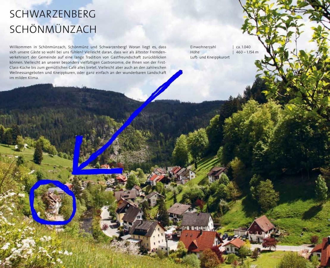 Adieu Alltag: Pension Oesterle im Schwarzwald Schonmunzach Exterior foto