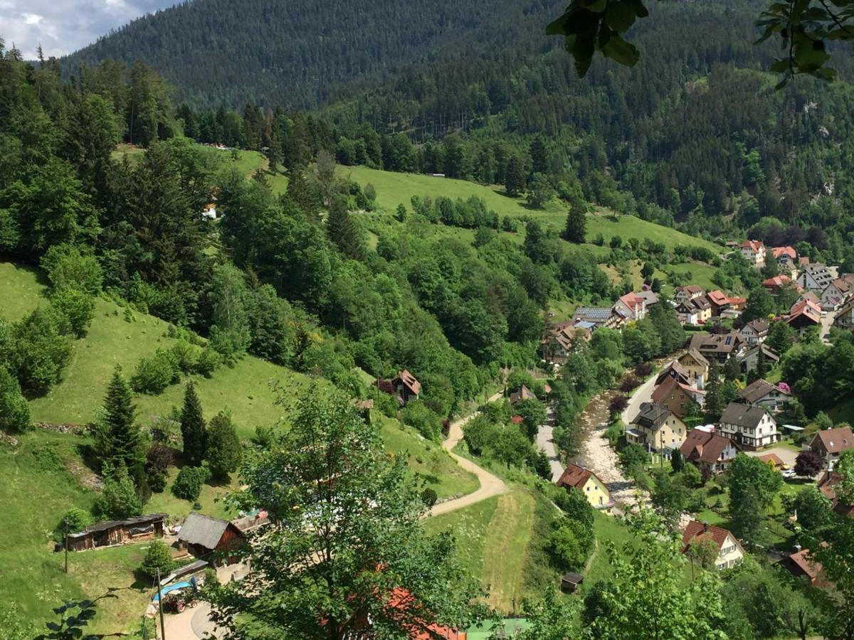Adieu Alltag: Pension Oesterle im Schwarzwald Schonmunzach Exterior foto
