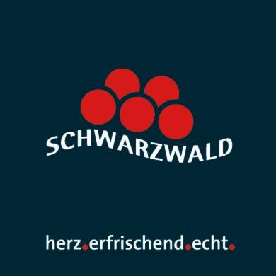 Adieu Alltag: Pension Oesterle im Schwarzwald Schonmunzach Exterior foto
